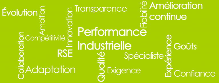 Performance industrielle